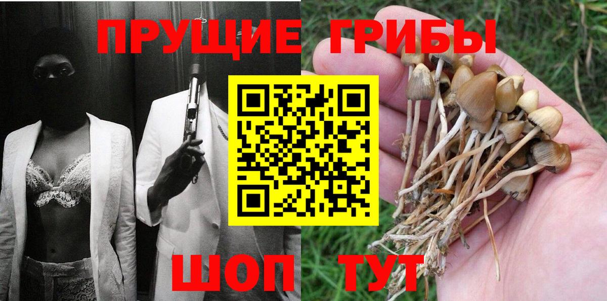 Новоалександровск  Галлюциногенные грибы MAGIC MUSHROOMS  Галлюциногенные грибы MAGIC MUSHROOMS  Вход с VPN 